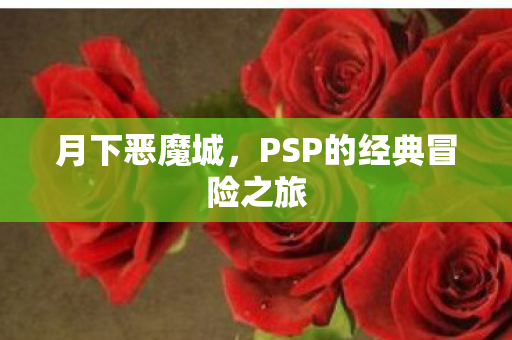 PSP的经典冒险之旅图片