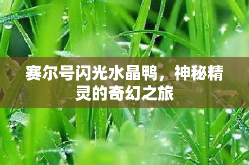 神秘精灵的奇幻之旅图片