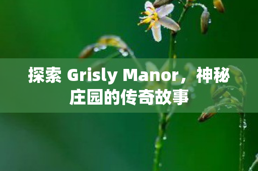 探索 Grisly Manor,神秘庄园的传奇故事 探索 Grisly Manor,神秘庄园的传奇故事