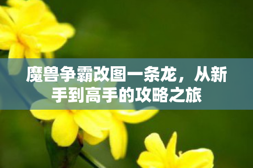 魔兽争霸改图一条龙，从新手到高手的攻略之旅