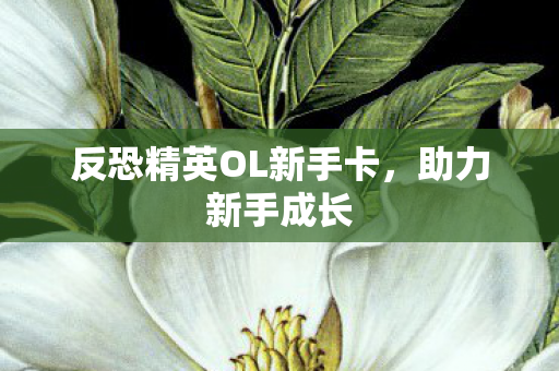 反恐精英OL新手卡图片