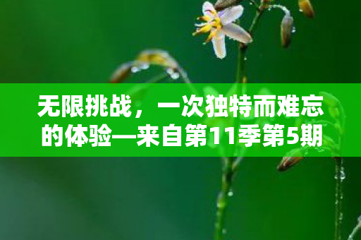来自第11季第5期的挑战之旅图片