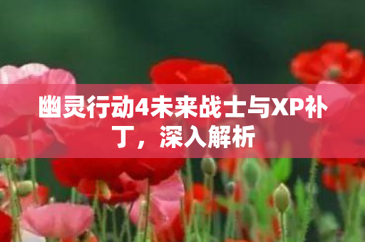 幽灵行动4未来战士与XP补丁图片