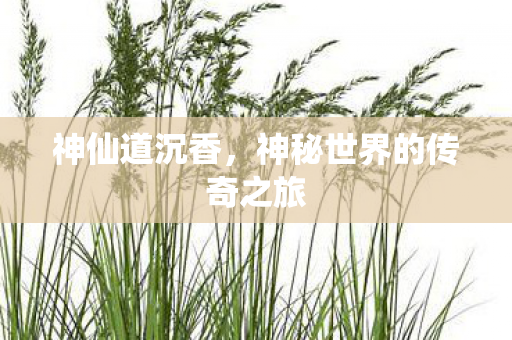 神秘世界的传奇之旅图片