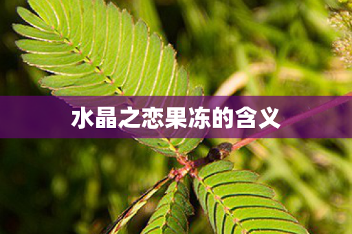 水晶之恋果冻的含义图片