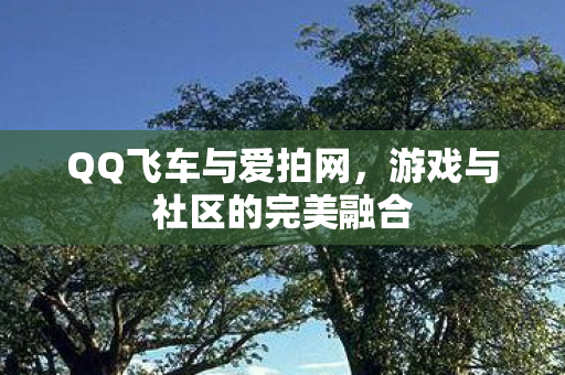 游戏与社区的完美融合图片