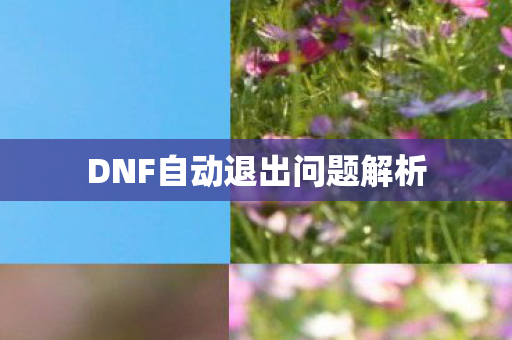 DNF自动退出问题解析图片