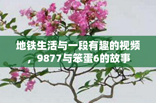 地铁生活与一段有趣的视频图片