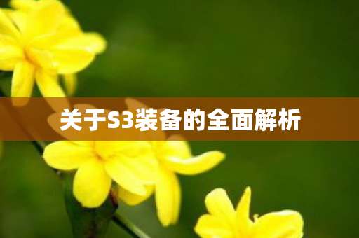 关于S3装备的全面解析图片
