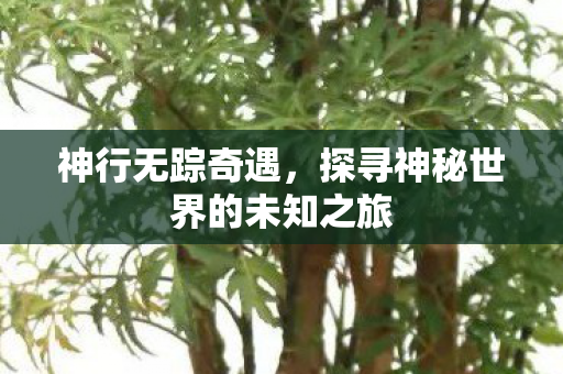 探寻神秘世界的未知之旅图片