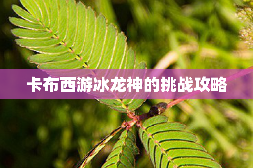 卡布西游冰龙神的挑战攻略图片