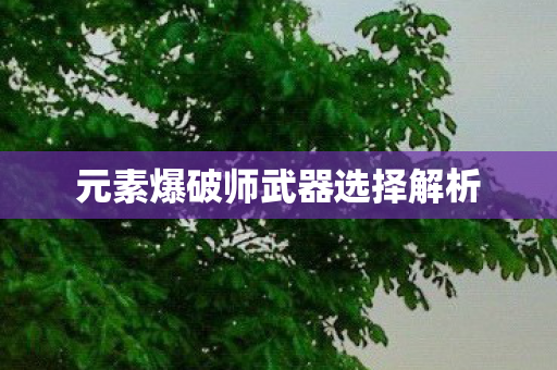 元素爆破师武器选择解析图片