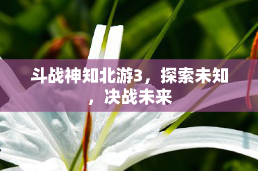 斗战神知北游3图片