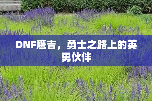 勇士之路上的英勇伙伴图片