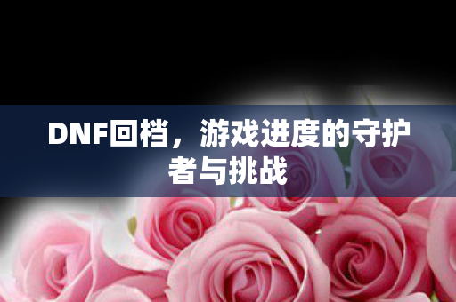 游戏进度的守护者与挑战图片