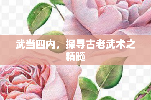 探寻古老武术之精髓图片
