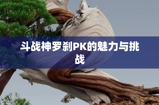 斗战神罗刹PK的魅力与挑战图片