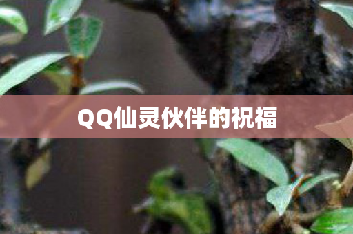QQ仙灵伙伴的祝福图片