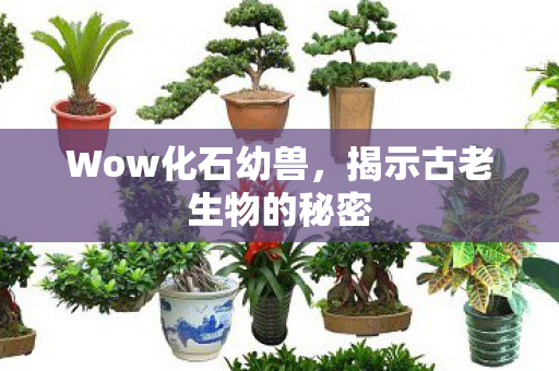 揭示古老生物的秘密图片