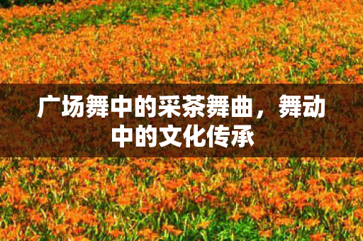 广场舞中的采茶舞曲图片