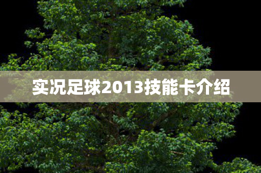实况足球2013技能卡介绍图片