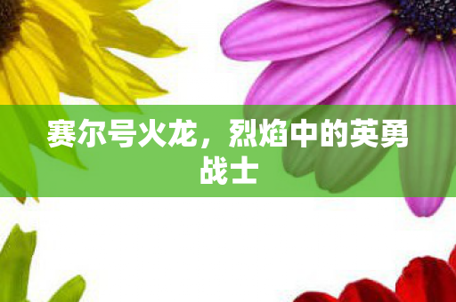 烈焰中的英勇战士图片