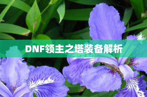 DNF领主之塔装备解析图片