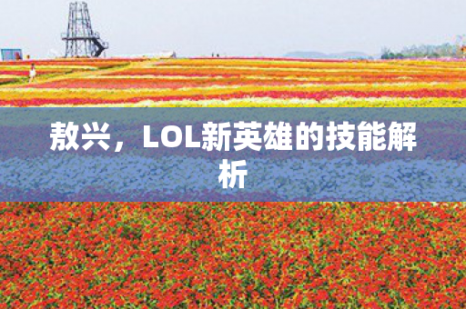 LOL新英雄的技能解析图片
