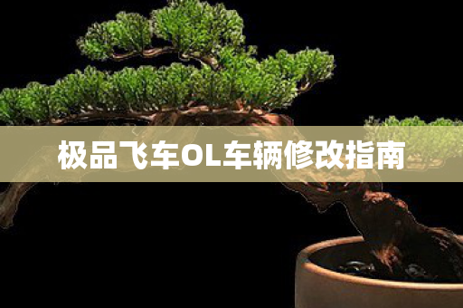 极品飞车OL车辆修改指南图片