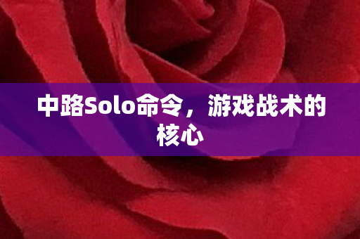 中路Solo命令图片
