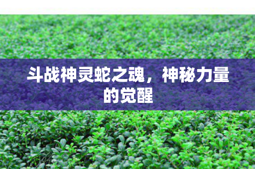 斗战神灵蛇之魂图片