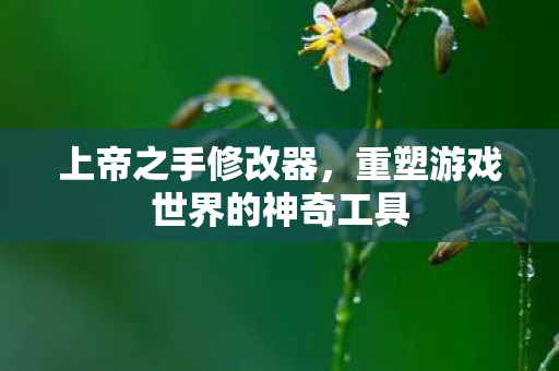 重塑游戏世界的神奇工具图片