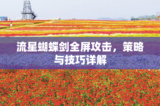 流星蝴蝶剑全屏攻击图片
