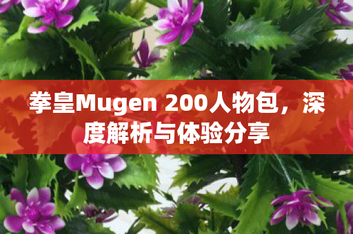拳皇Mugen 200人物包图片