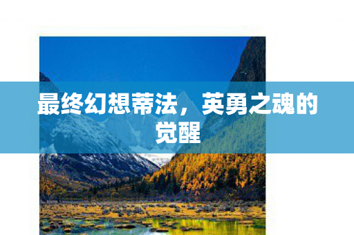 英勇之魂的觉醒图片