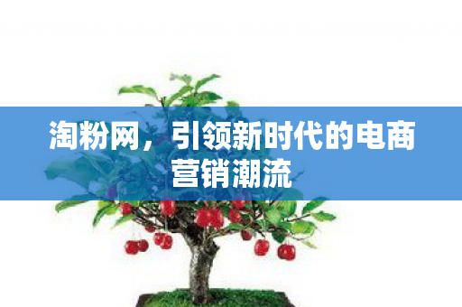 引领新时代的电商营销潮流图片