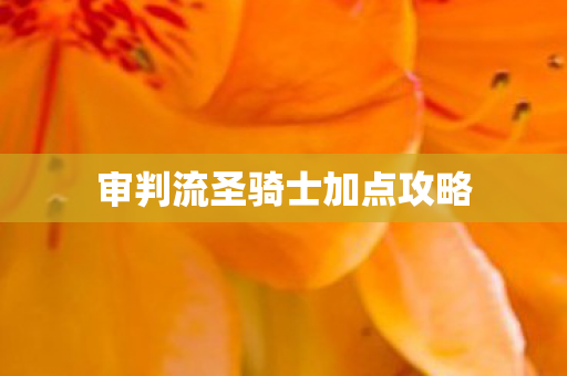审判流圣骑士加点攻略图片