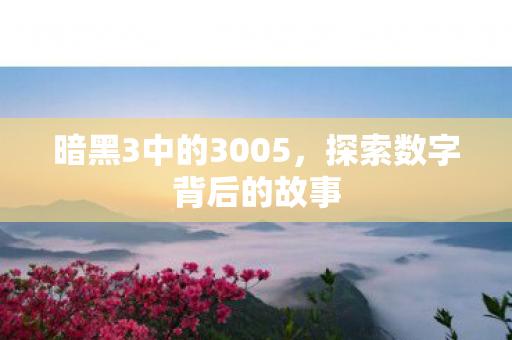 暗黑3中的3005图片