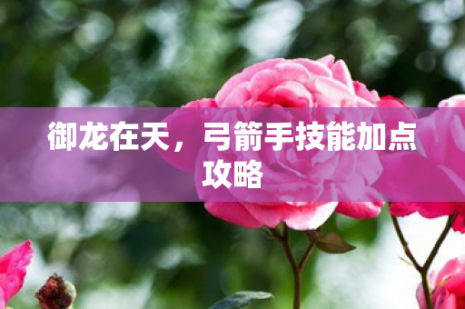 弓箭手技能加点攻略图片