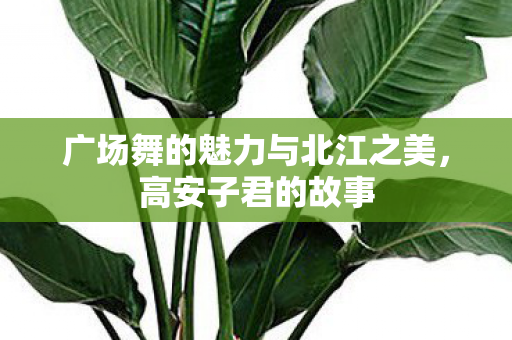 广场舞的魅力与北江之美图片