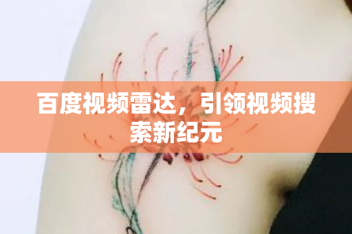引领视频搜索新纪元图片