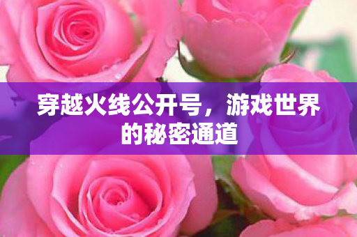 游戏世界的秘密通道图片
