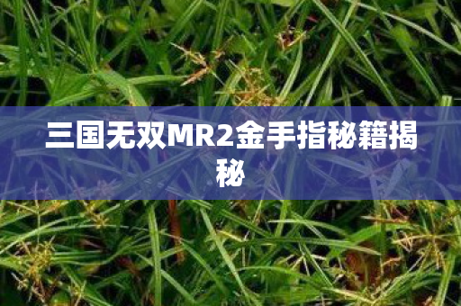 三国无双MR2金手指秘籍揭秘图片