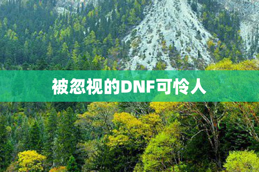 被忽视的DNF可怜人图片