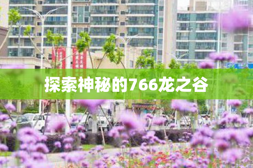 探索神秘的766龙之谷图片