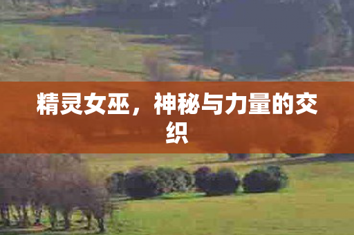 神秘与力量的交织图片