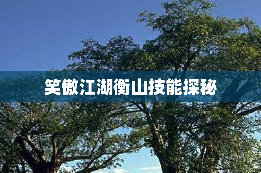 笑傲江湖衡山技能探秘图片