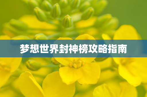 梦想世界封神榜攻略指南图片