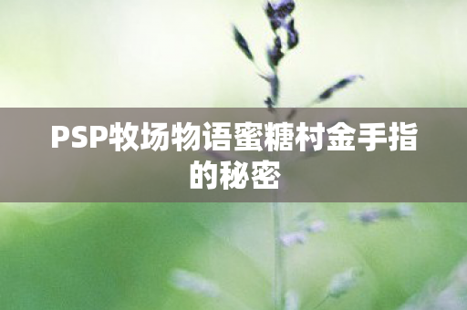 PSP牧场物语蜜糖村金手指的秘密图片