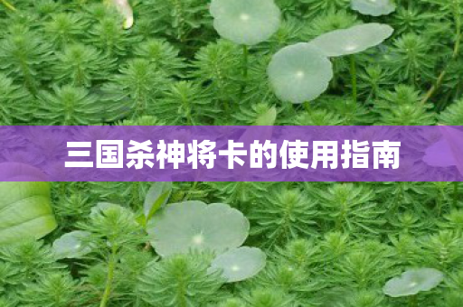 三国杀神将卡的使用指南图片